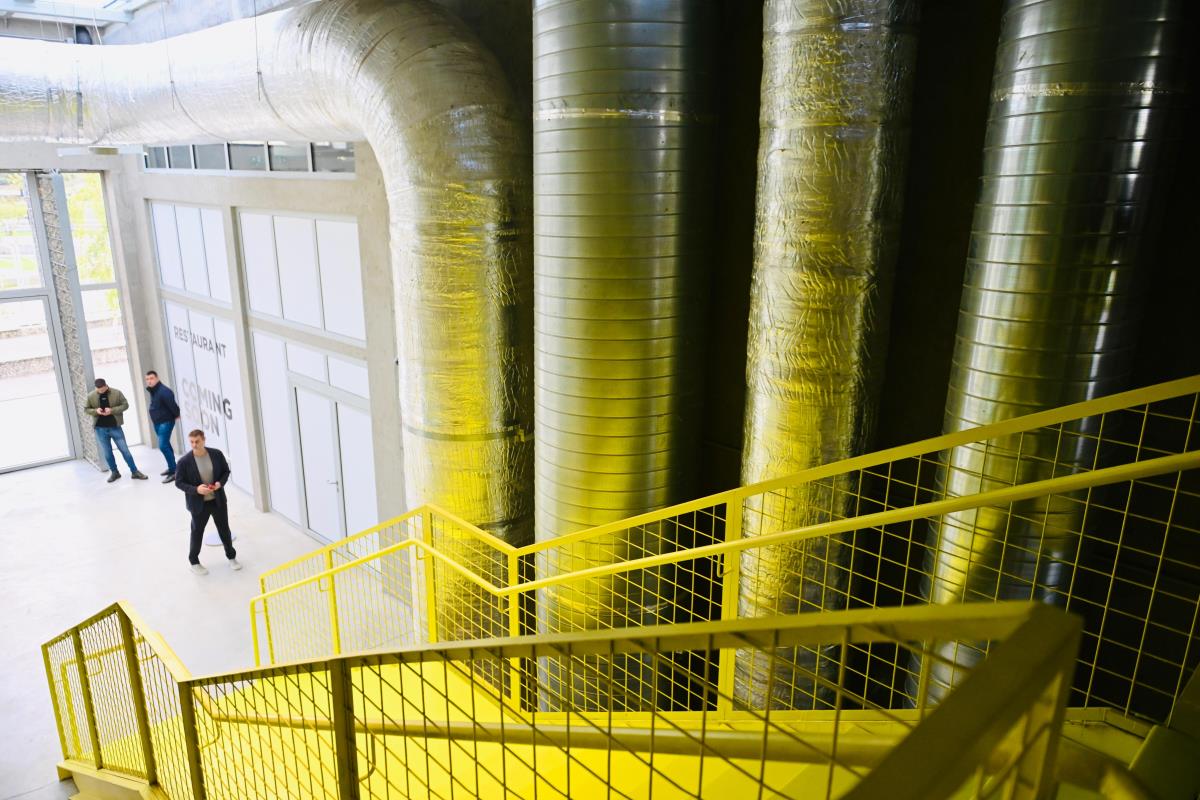 WhatsApp Image 2025-10-07 at 12.11.55.jpeg