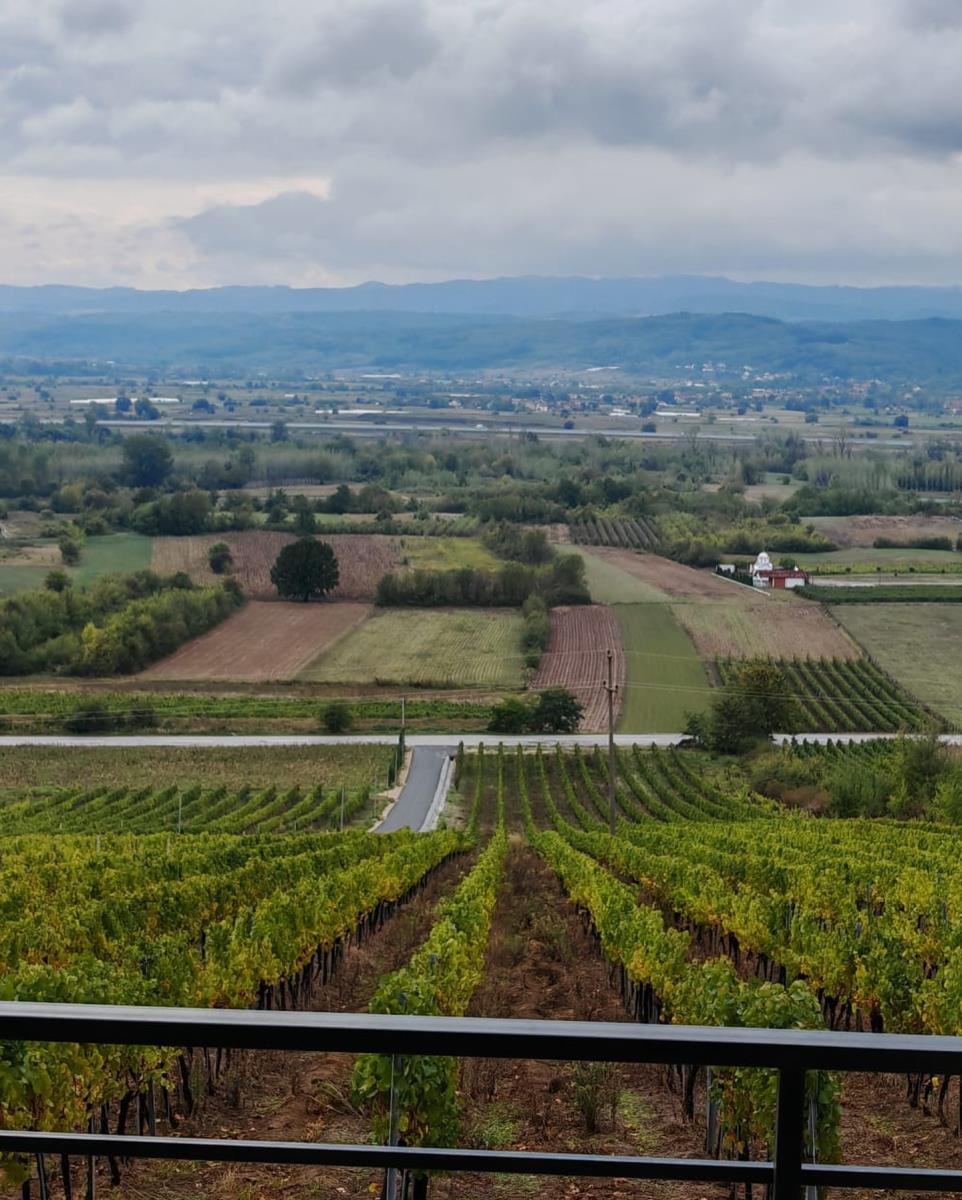 Prelep Trstenički kraj.jpg