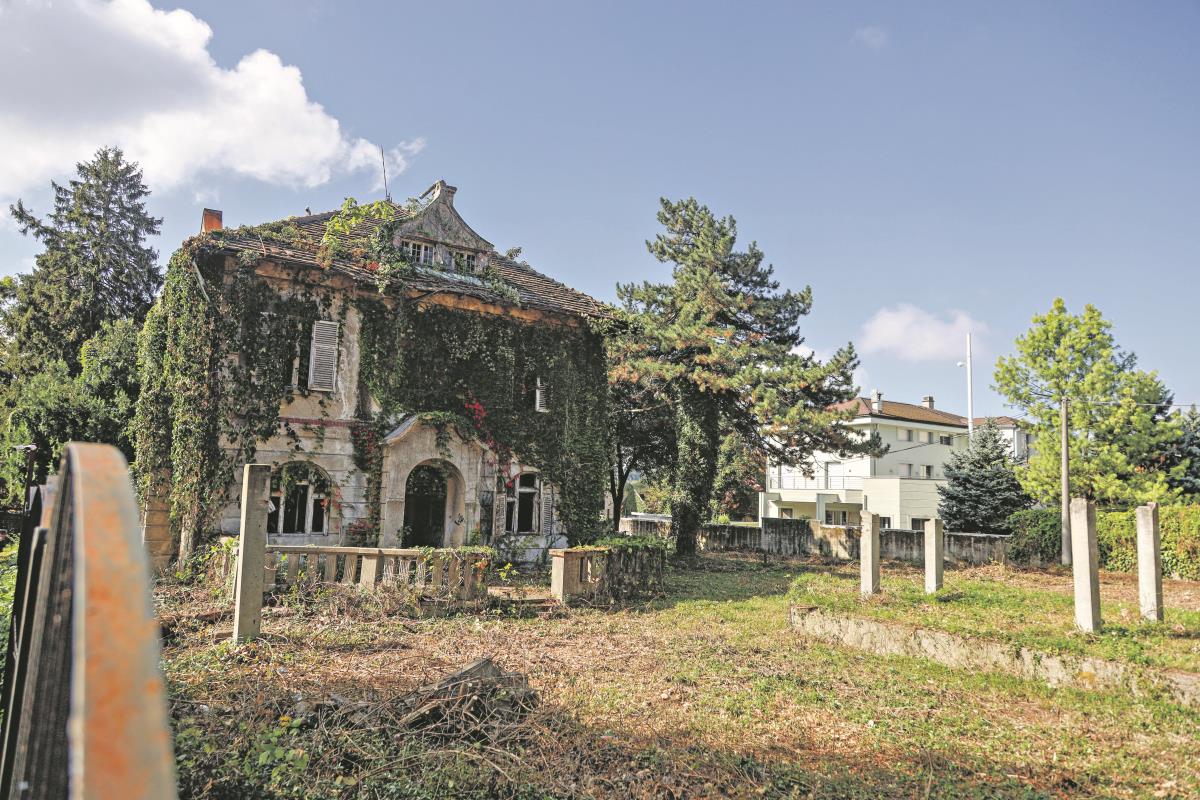 leka vila na senjaku ulica andre nikolica03 News1 Nenad Kostic.jpg