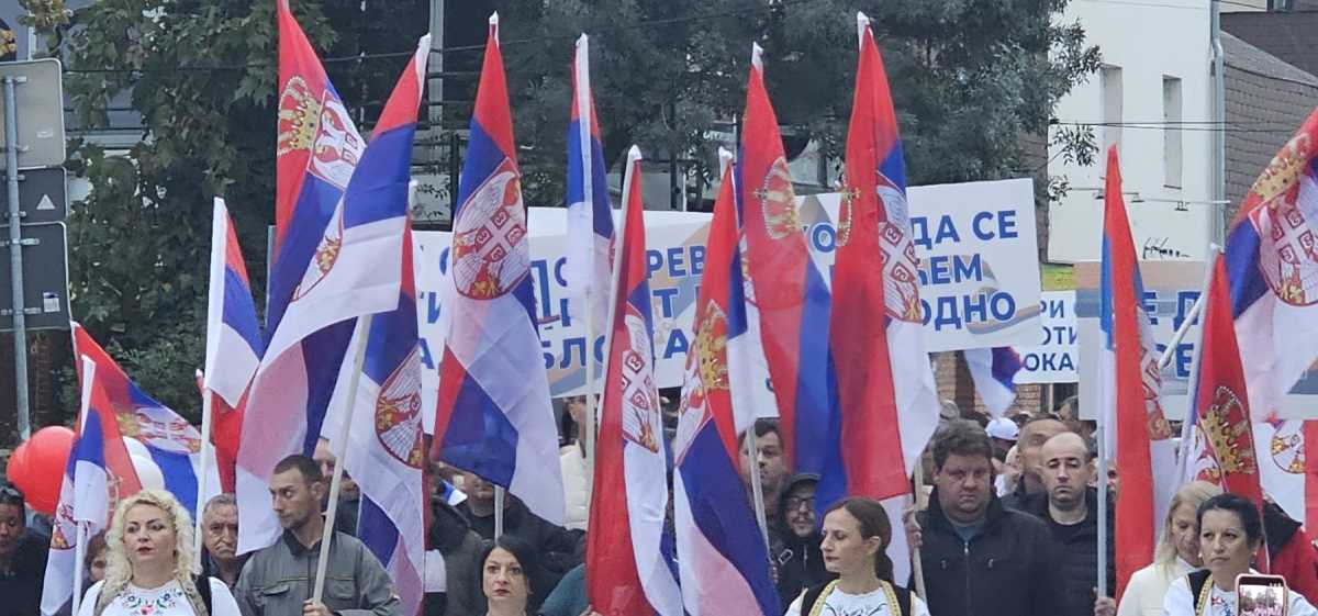 WhatsApp Image 2025-10-11 at 17.21.07_3dd1de5a.jpg