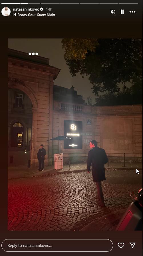 Sin Nataše Ninković u Parizu.jpg