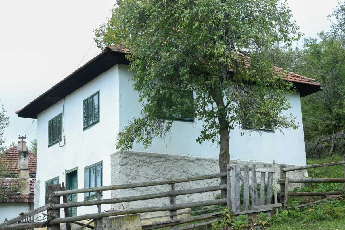 WhatsApp Image 2025-10-12 at 08.36.21.jpeg