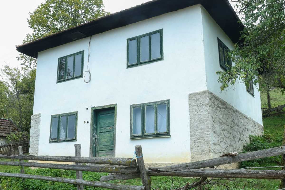 WhatsApp Image 2025-10-12 at 08.36.20 (4).jpeg