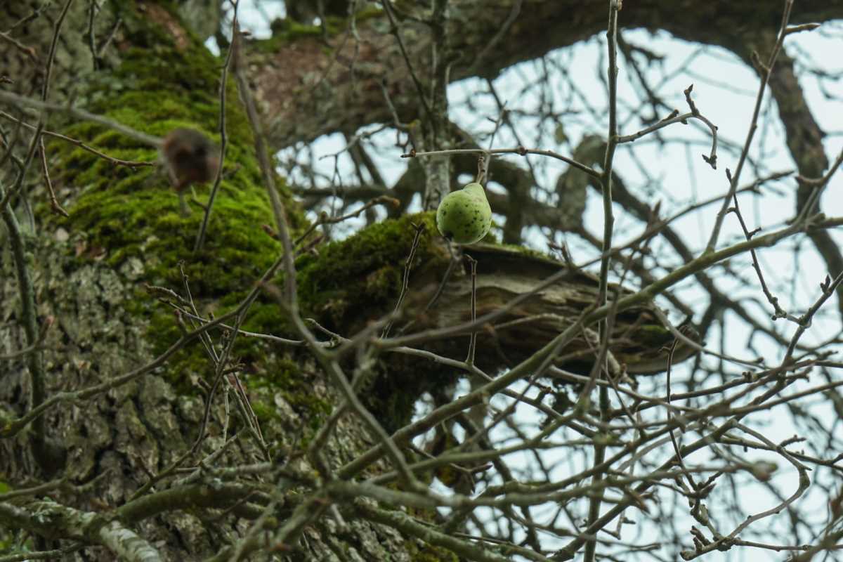 WhatsApp Image 2025-10-12 at 08.36.20 (2).jpeg