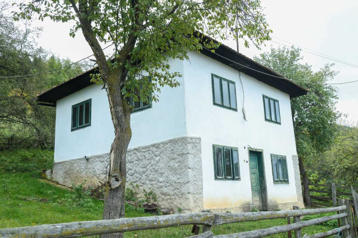 WhatsApp Image 2025-10-12 at 08.36.20 (1).jpeg