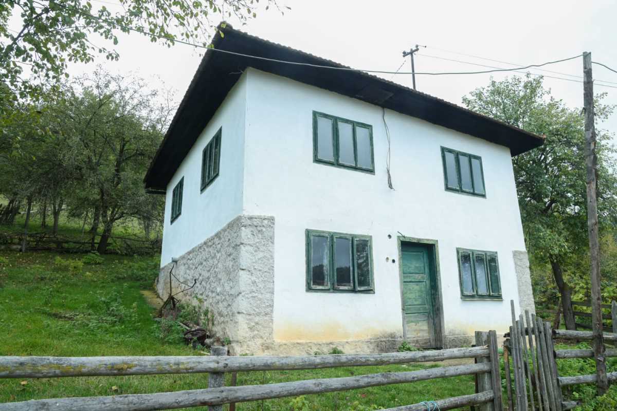 WhatsApp Image 2025-10-12 at 08.36.20.jpeg