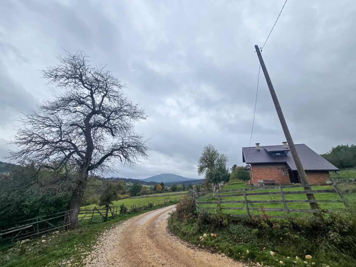 WhatsApp Image 2025-10-12 at 08.36.19 (1).jpeg