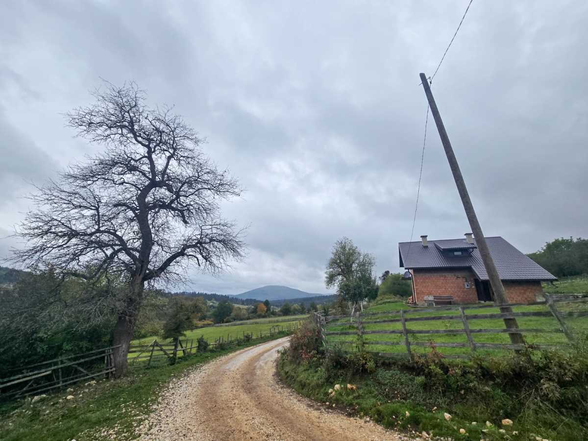 WhatsApp Image 2025-10-12 at 08.36.19.jpeg