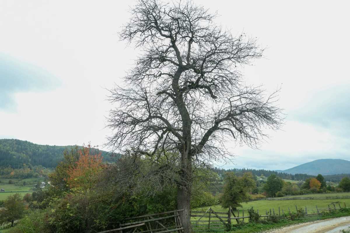 WhatsApp Image 2025-10-12 at 08.36.18.jpeg