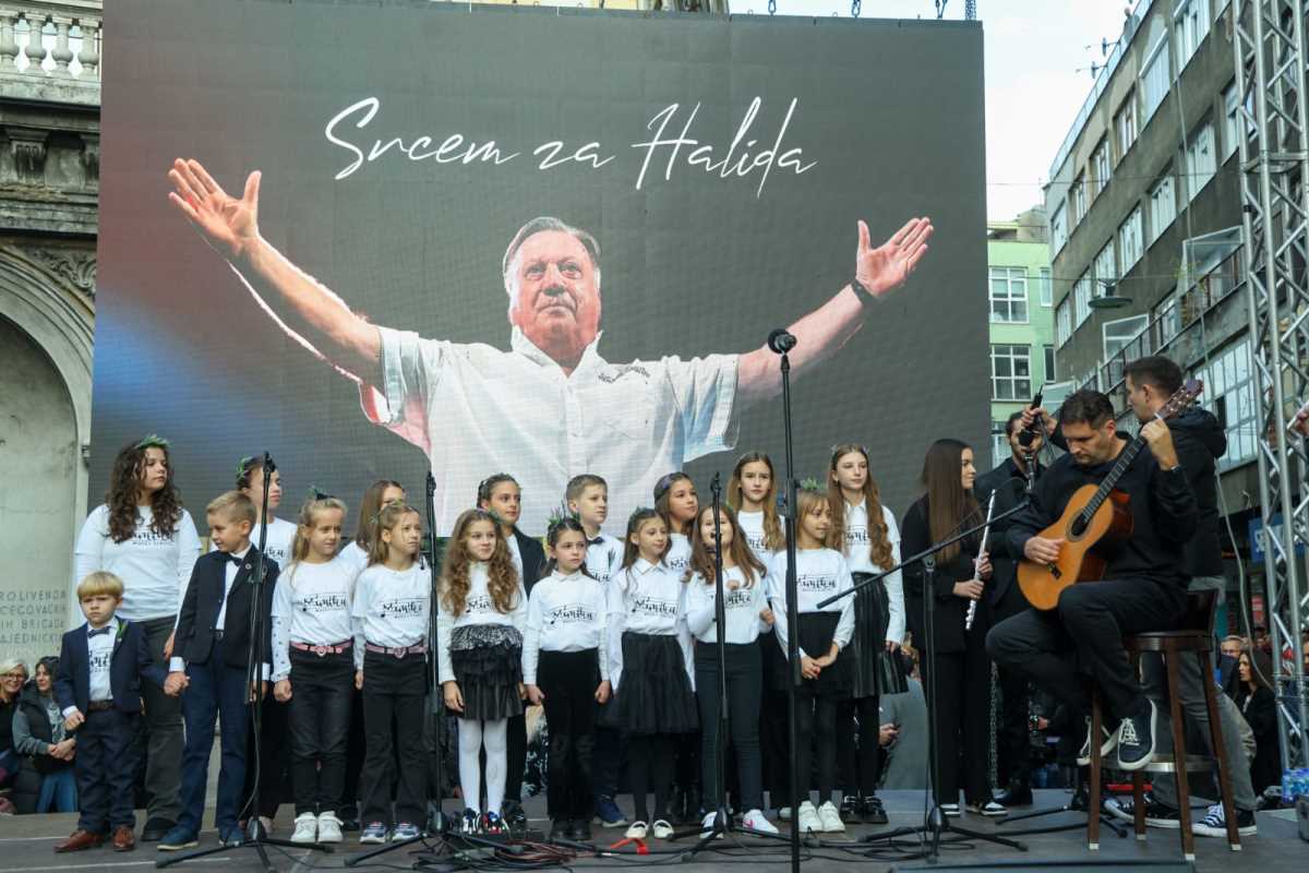 Halid Bešlić (42).jpeg