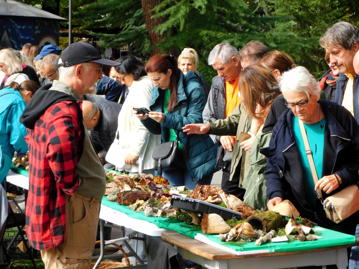 BANJA KOVILJAČA - Interesovanje.jpg