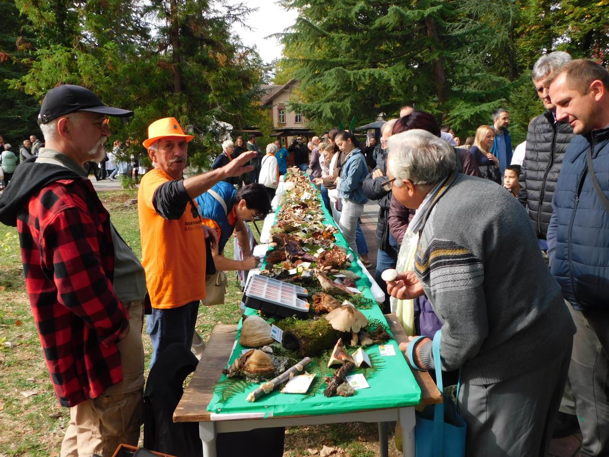 BANJA KOVILJAČA - Izložba.jpg