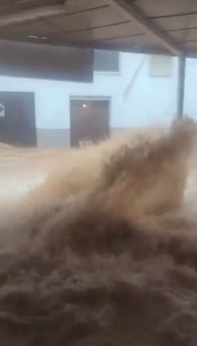 Screenshot 2025-10-13 094514.png