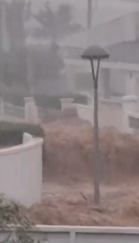 Screenshot 2025-10-13 094503.png