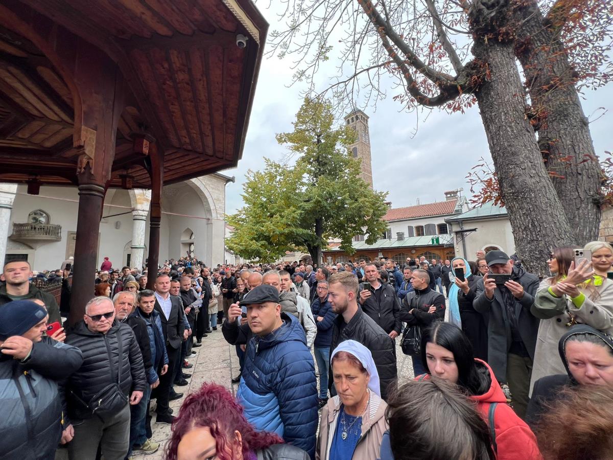 WhatsApp Image 2025-10-13 at 12.46.25 (1).jpeg