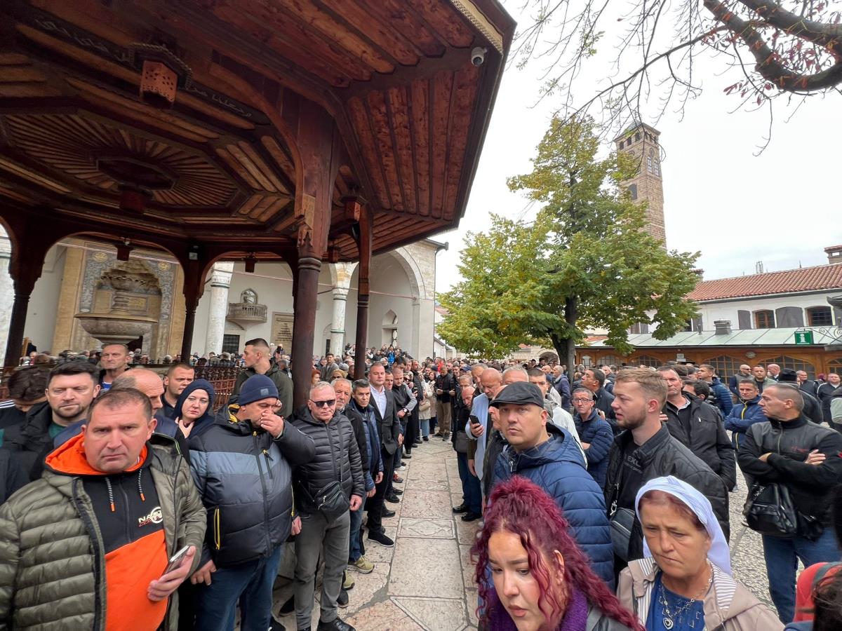 WhatsApp Image 2025-10-13 at 12.46.25.jpeg