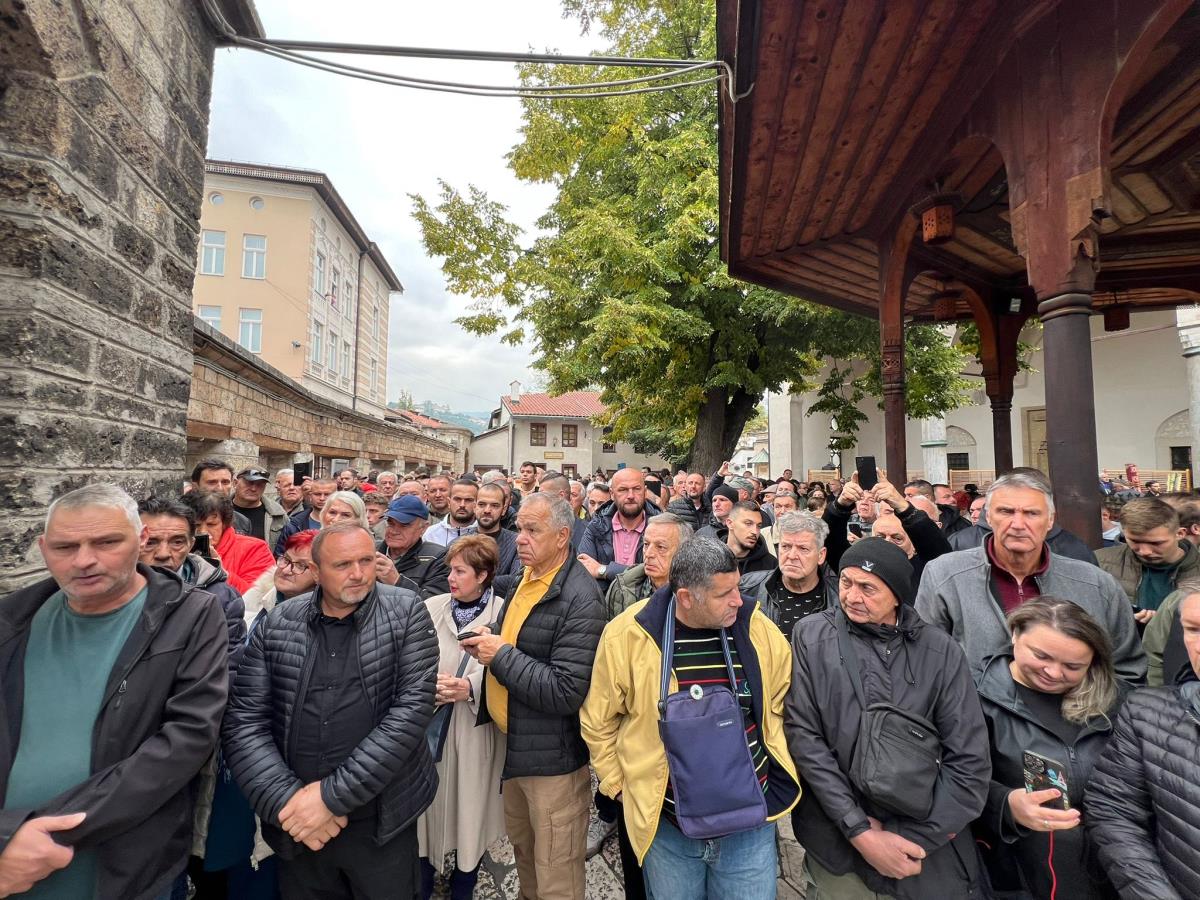 WhatsApp Image 2025-10-13 at 12.46.24.jpeg