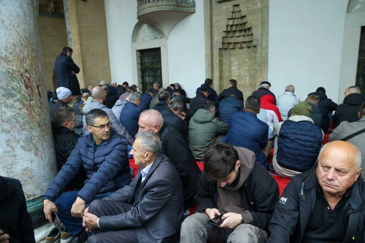 WhatsApp Image 2025-10-13 at 12.49.54 (3).jpeg