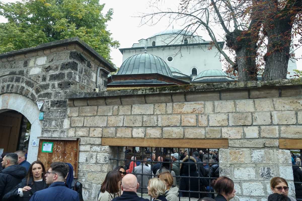 WhatsApp Image 2025-10-13 at 12.49.54 (2).jpeg