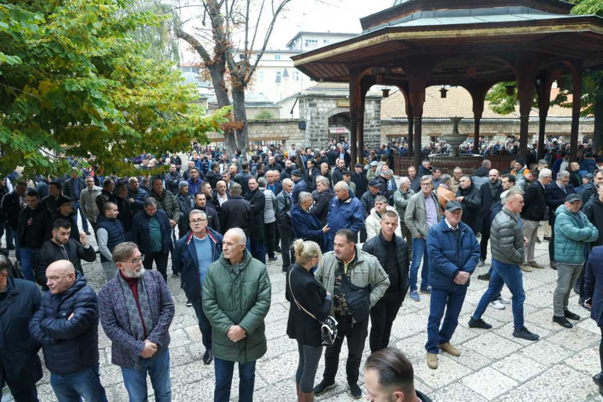 WhatsApp Image 2025-10-13 at 12.49.54.jpeg