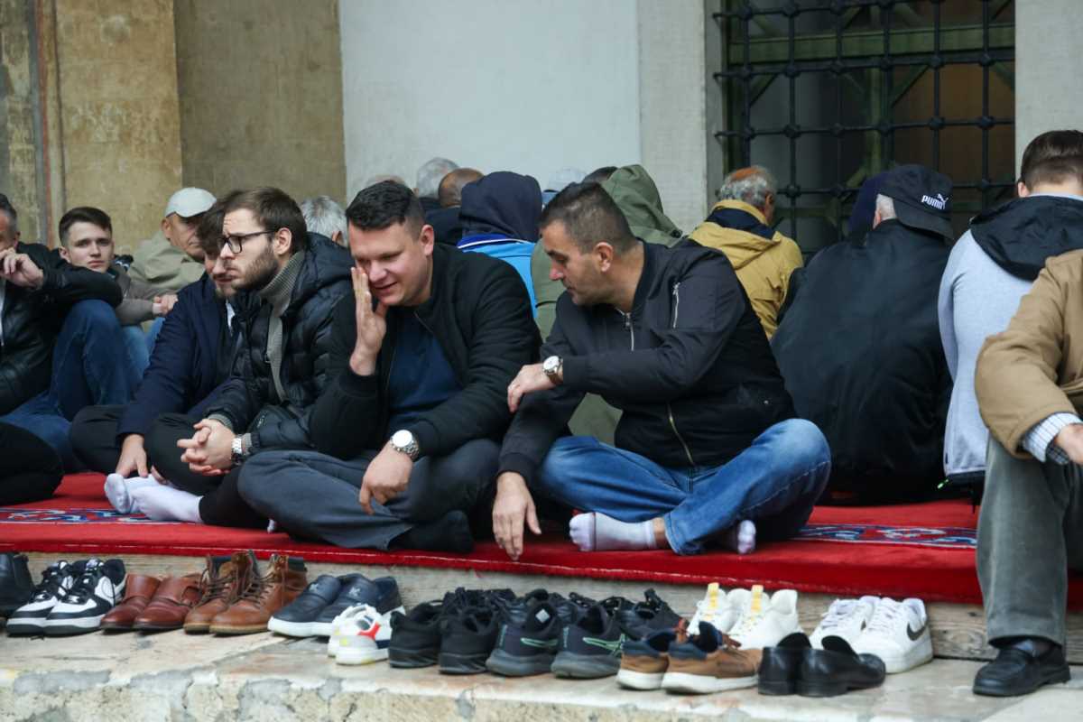 WhatsApp Image 2025-10-13 at 12.49.53 (1).jpeg