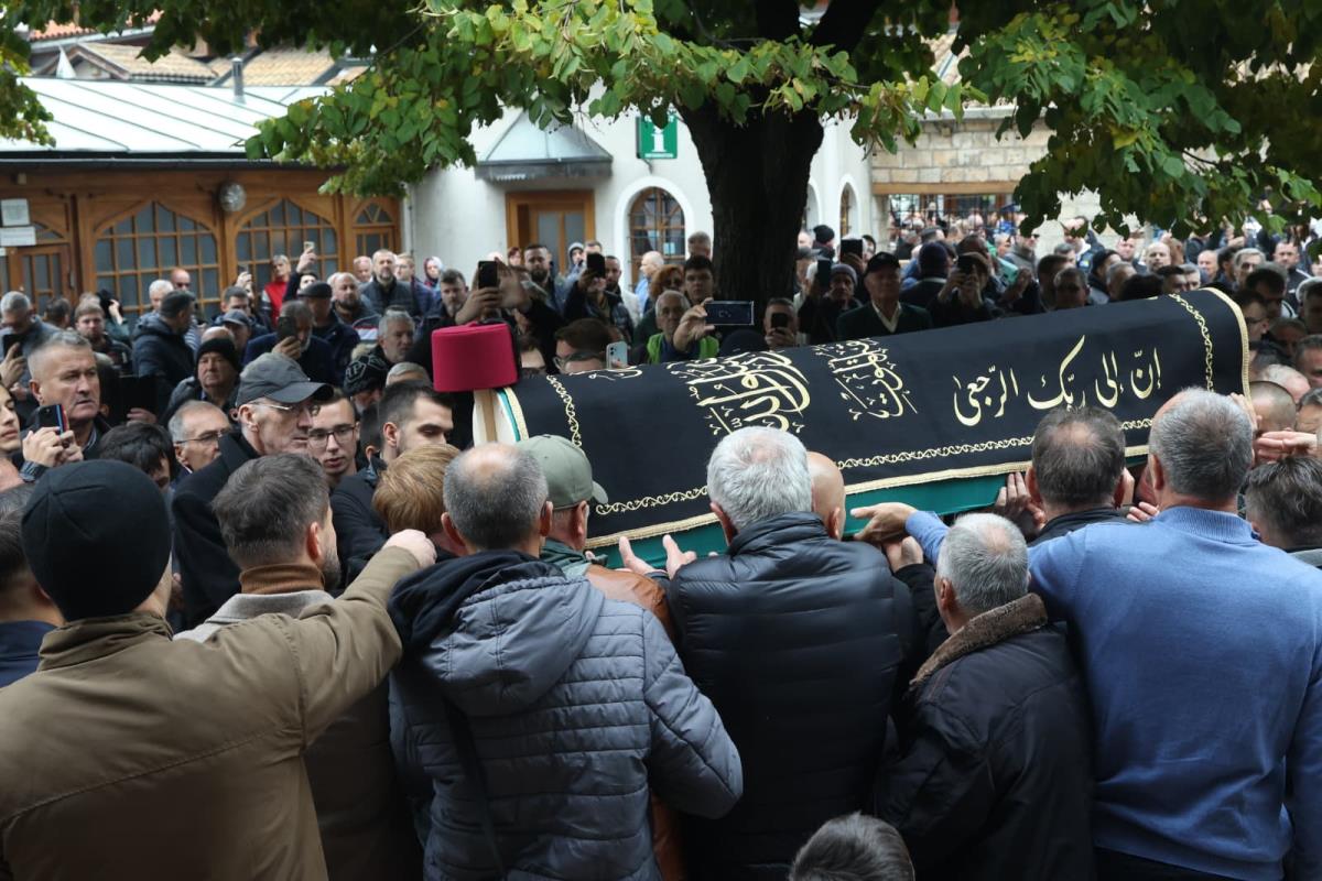 WhatsApp Image 2025-10-13 at 13.11.22.jpeg