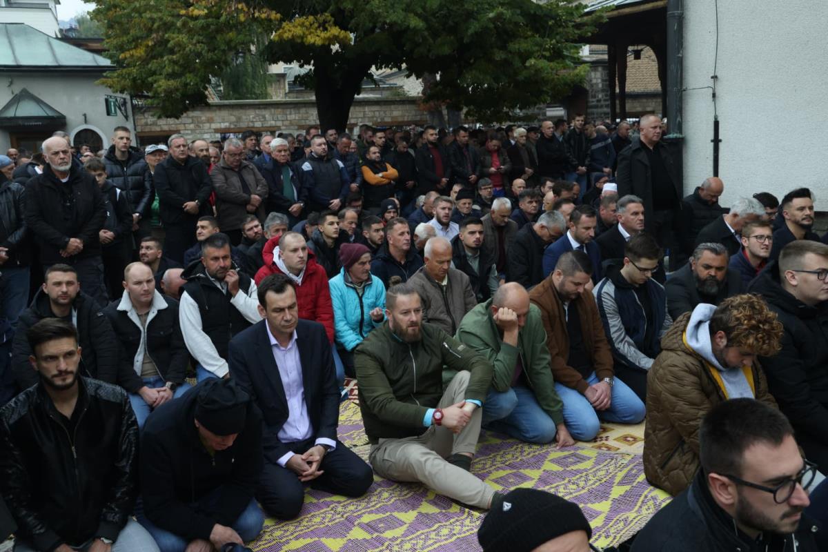 WhatsApp Image 2025-10-13 at 13.10.43.jpeg