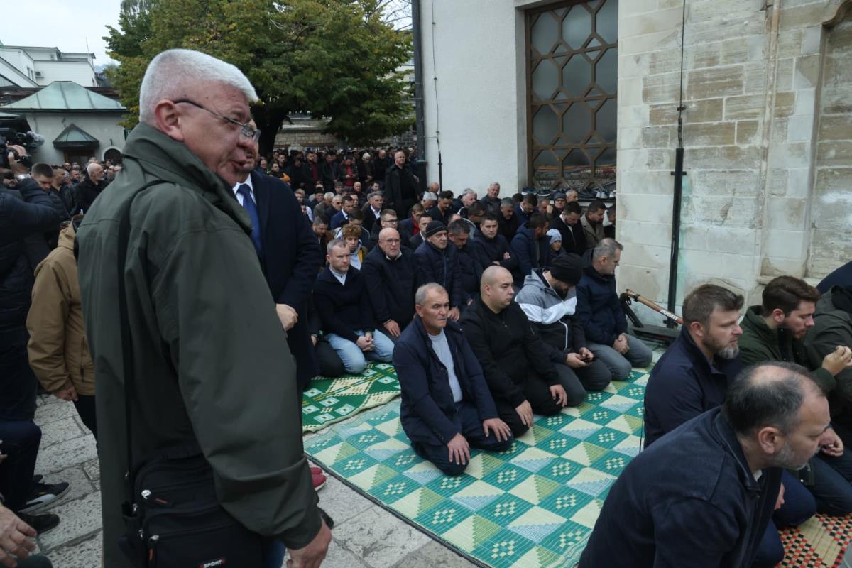 WhatsApp Image 2025-10-13 at 13.10.42.jpeg