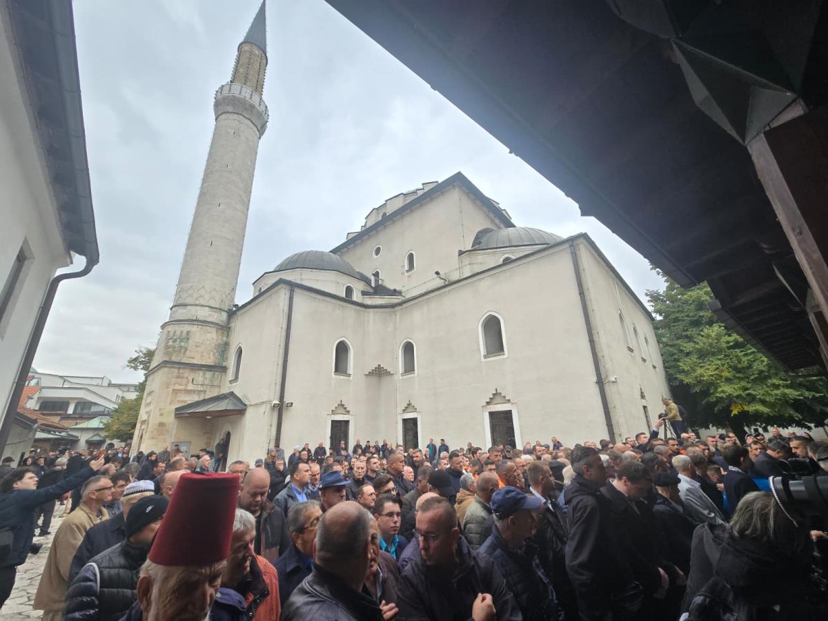 WhatsApp Image 2025-10-13 at 13.10.09 (1).jpeg