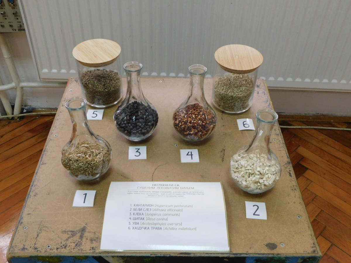 LOZNICA - Suđeno lekovito bilje.JPG
