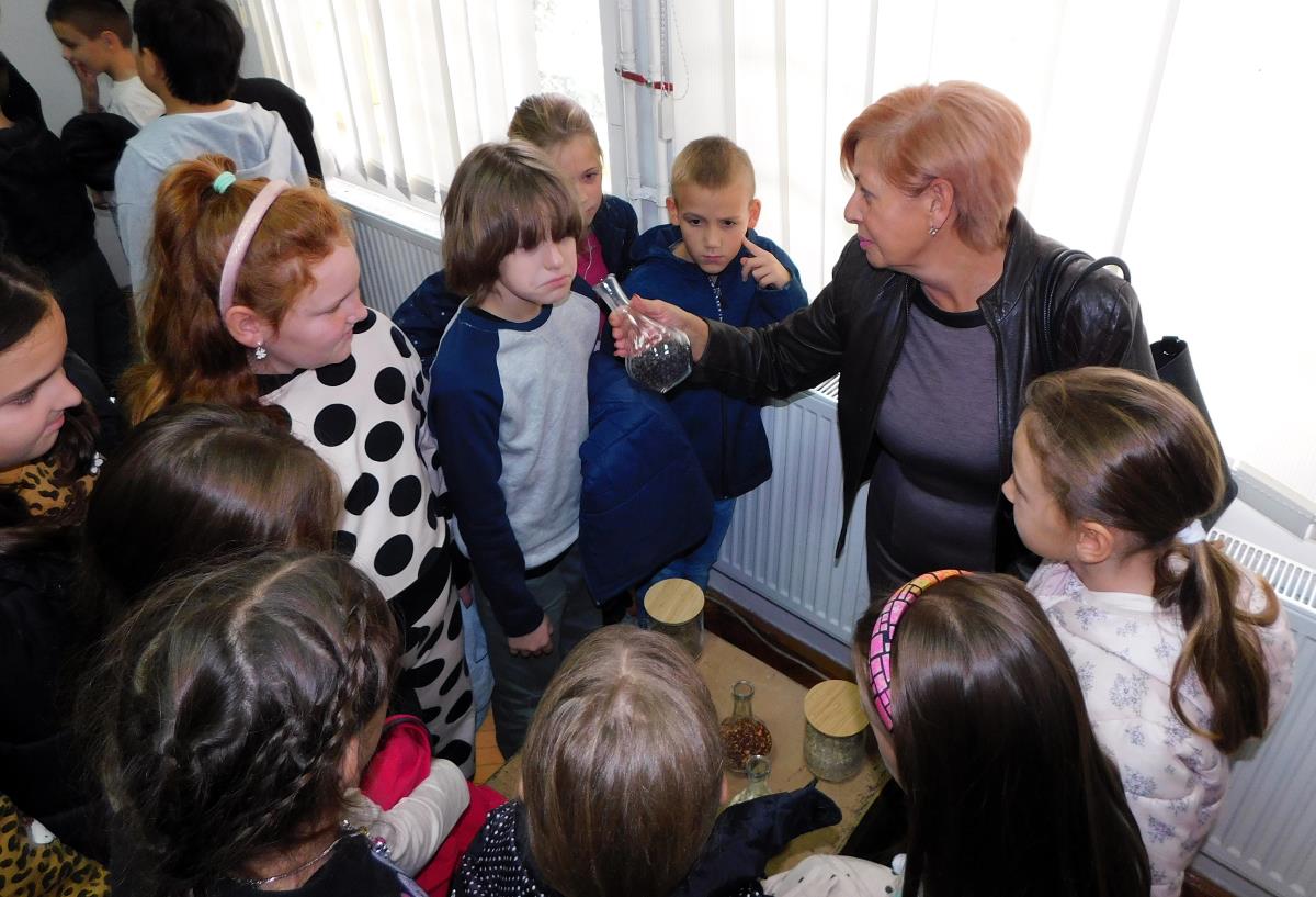 LOZNICA - Šta miriše.JPG