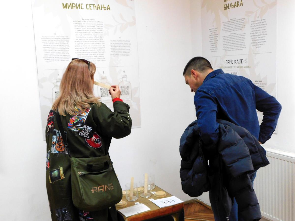 LOZNICA - Prepoznaj miris.JPG