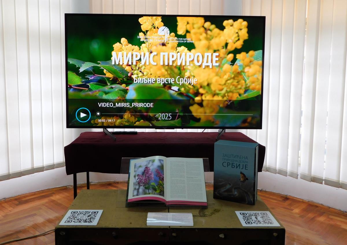 LOZNICA - Miris Srbije.JPG