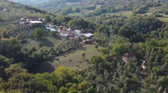 Screenshot 2025-10-14 082118.jpg