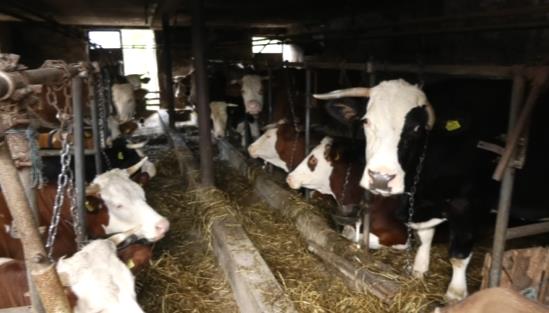 Screenshot 2025-10-14 082134.png