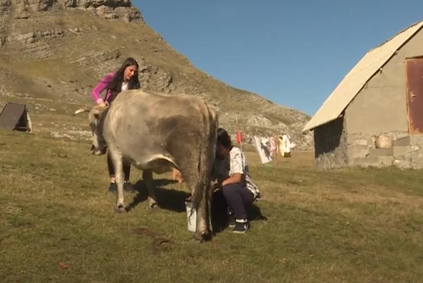 Screenshot 2025-10-14 120341.jpg