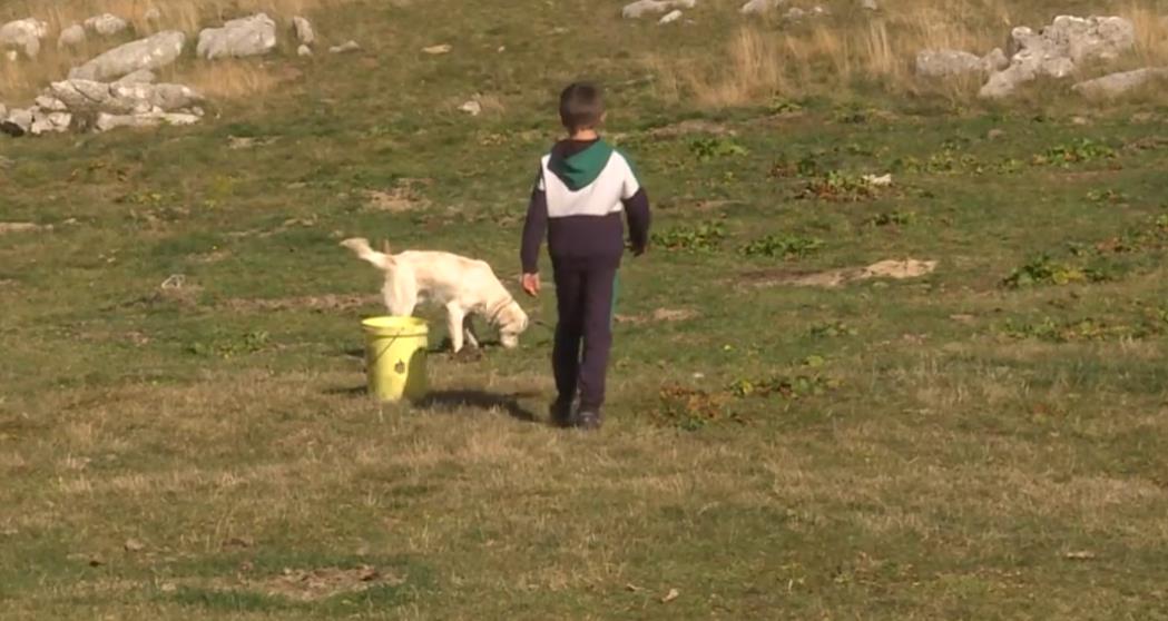 Screenshot 2025-10-14 123651.png