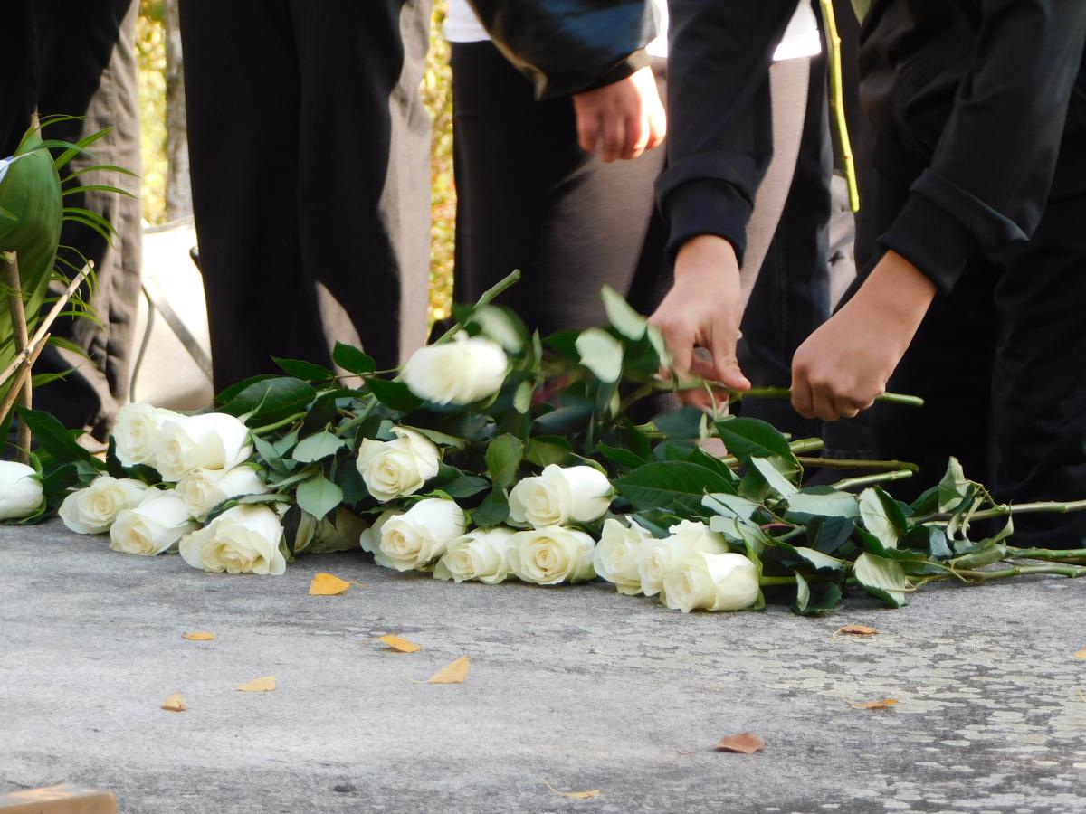 LOZNICA - Ruže doneli osnovci.JPG