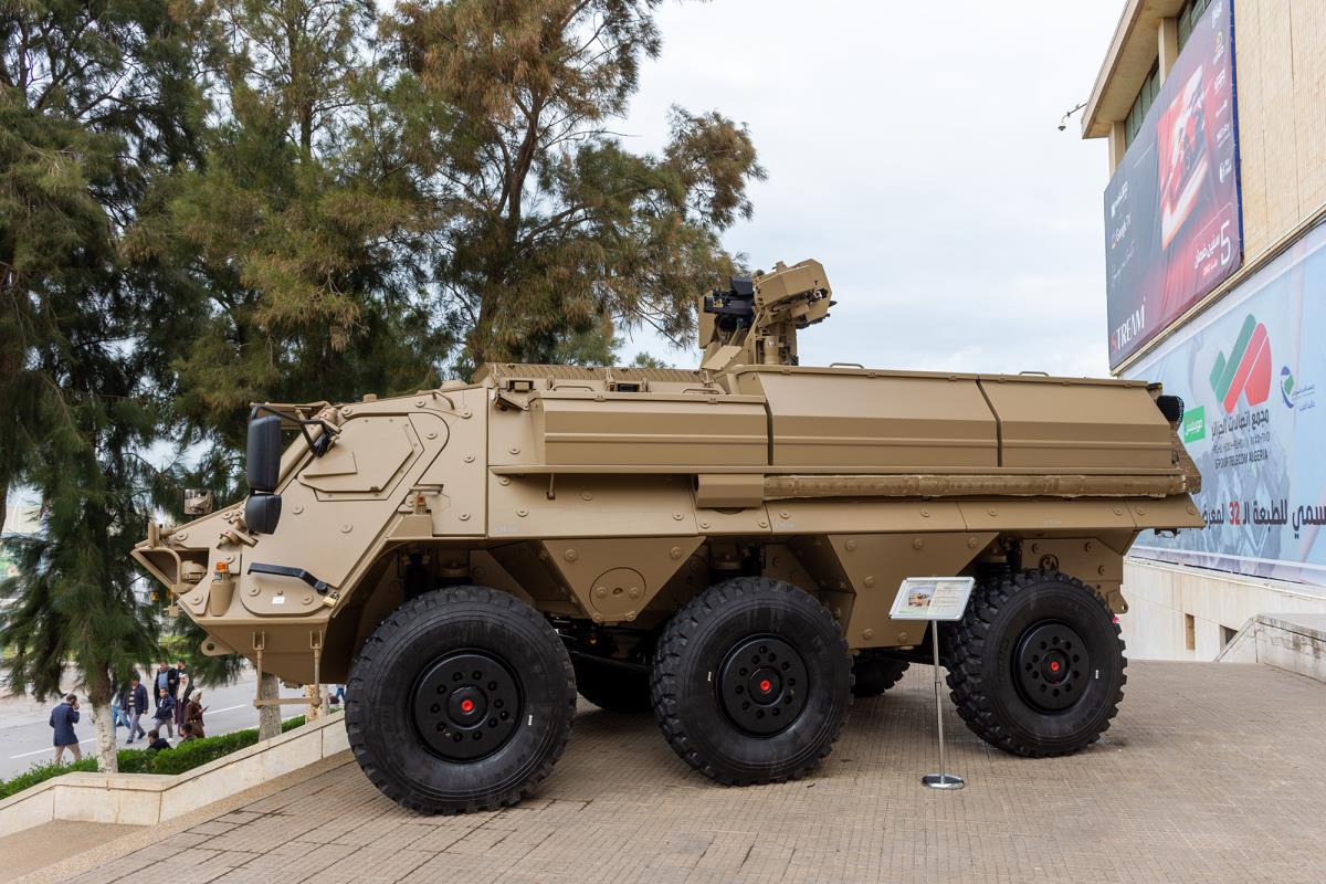 shutterstock_2562965705 copy.jpg