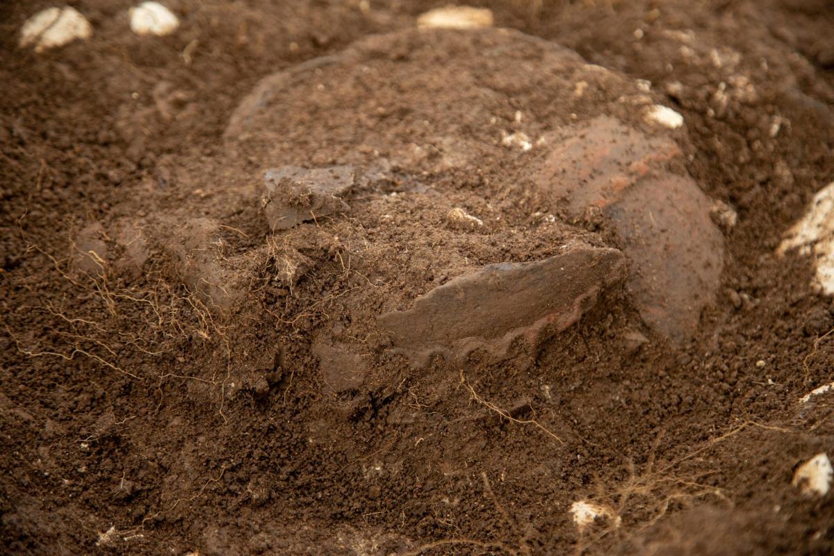 Foto - Sreten Vuković - arehološka istraživanja - urna 2.jpg