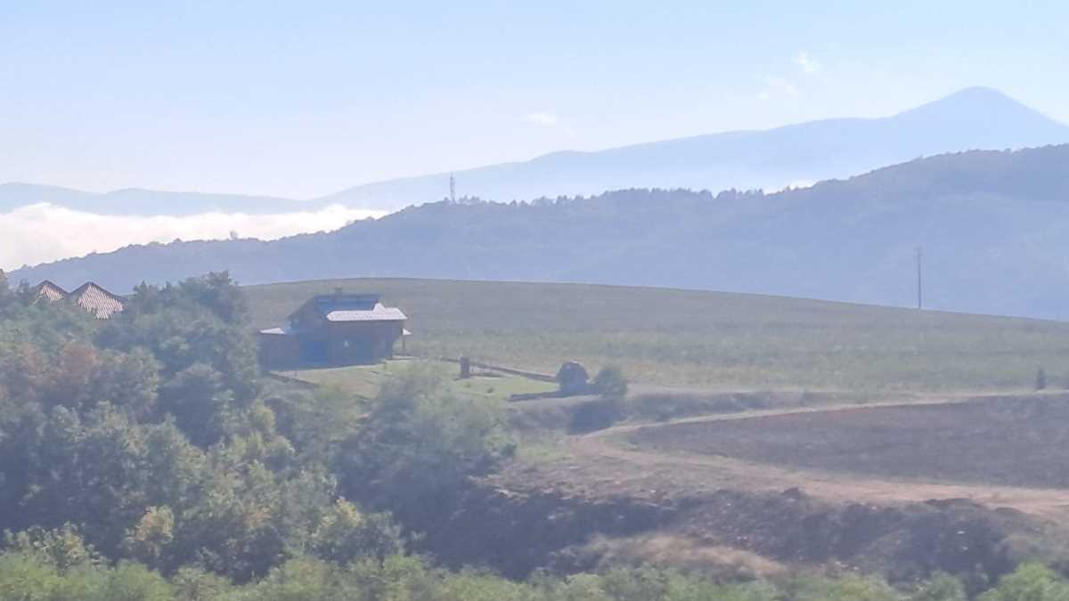 WhatsApp Image 2025-10-16 at 08.31.59_b61c6275.jpg