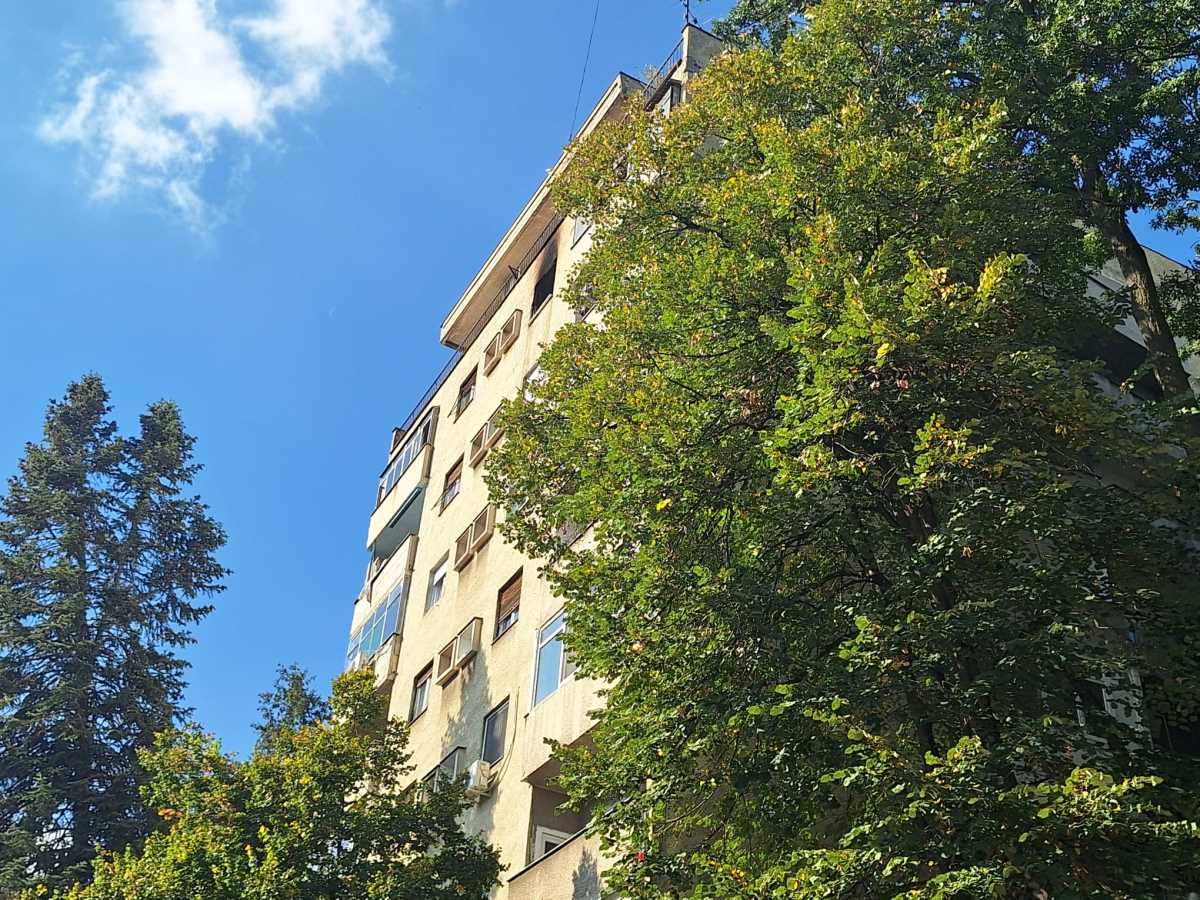 WhatsApp Image 2025-10-16 at 12.08.24.jpeg