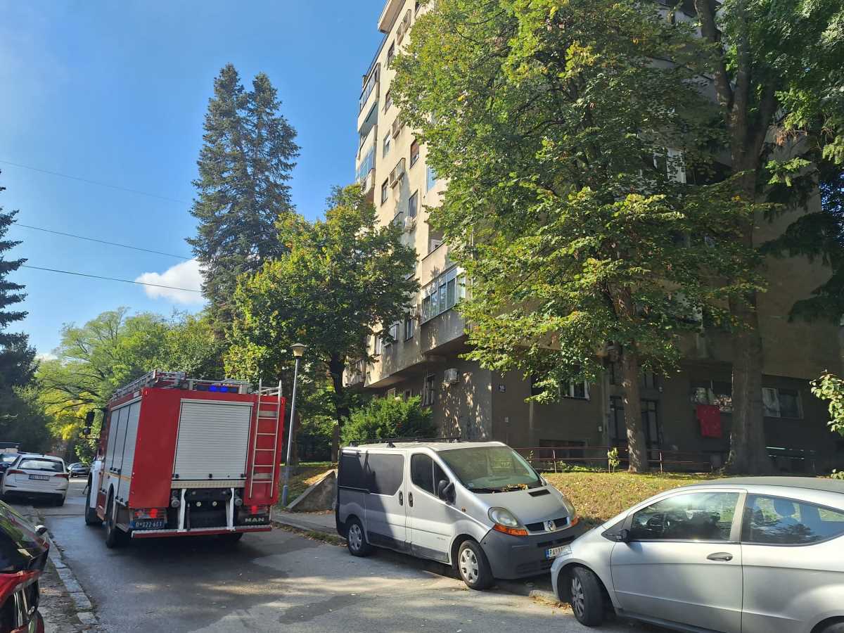 WhatsApp Image 2025-10-16 at 12.08.22.jpeg