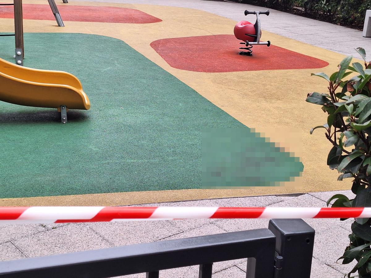 WhatsApp Image 2025-10-17 at 10.21.02_28c84936.jpg