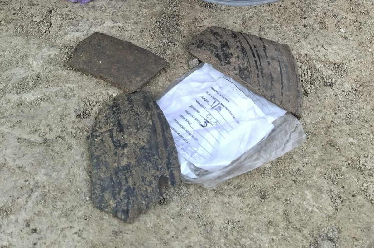 arheologija Srbija arheološka iskopavanja lokalitet Magareci mlin Apatin (7).jpg