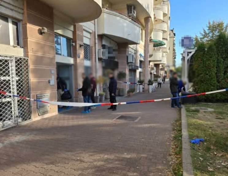 Novi Sad pronađeno je telo bebe u lokvi krvi (2).png