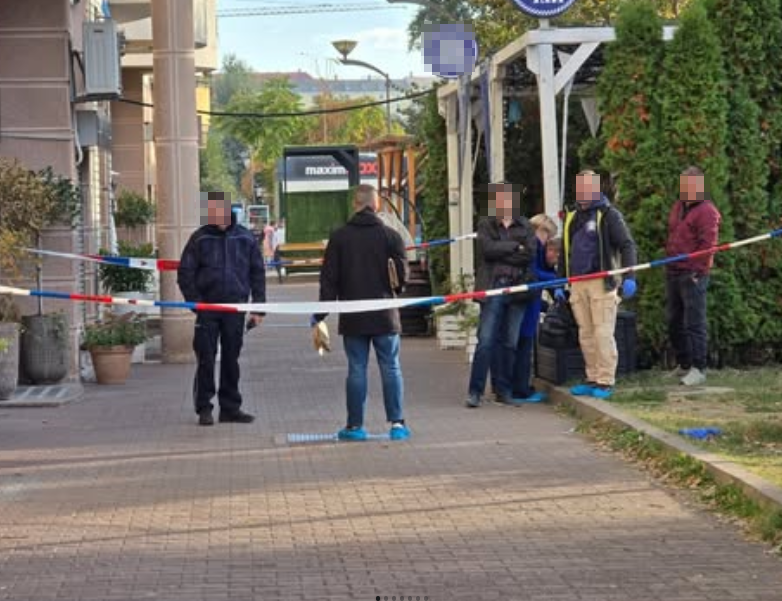Novi Sad pronađeno je telo bebe u lokvi krvi