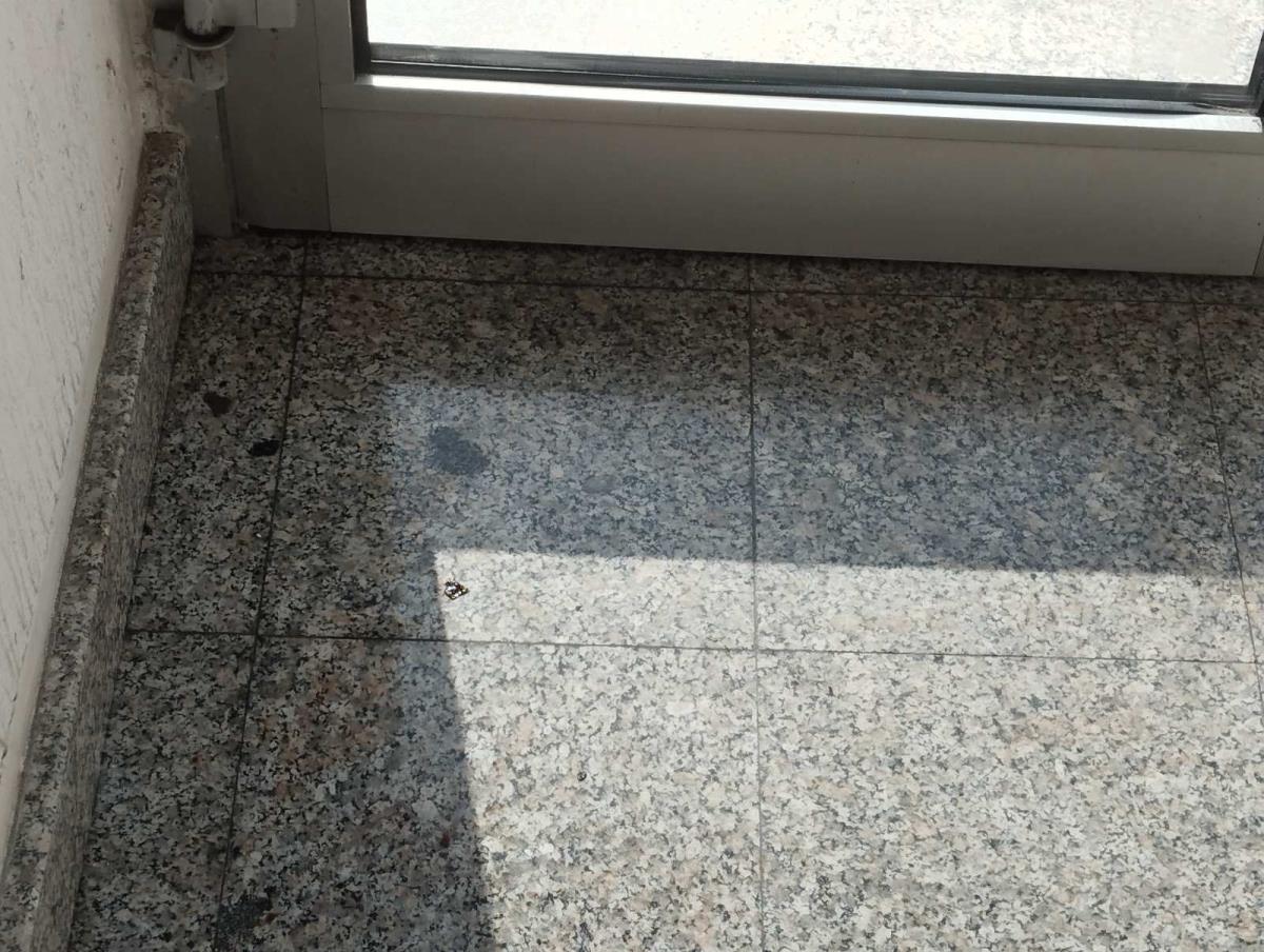 Novi Sad pronađeno je telo bebe u lokvi krvi mrtva beba