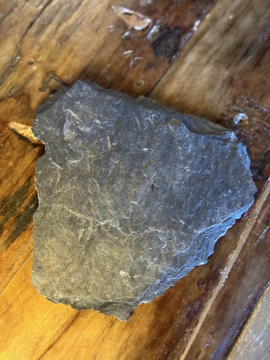 Nemanja Vukašinović - kuvar - Maćanski kamen.jpg