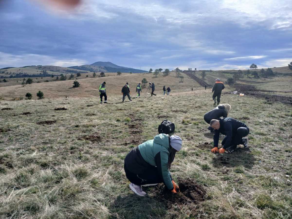 WhatsApp Image 2025-10-21 at 4.25.21 PM (2).jpeg